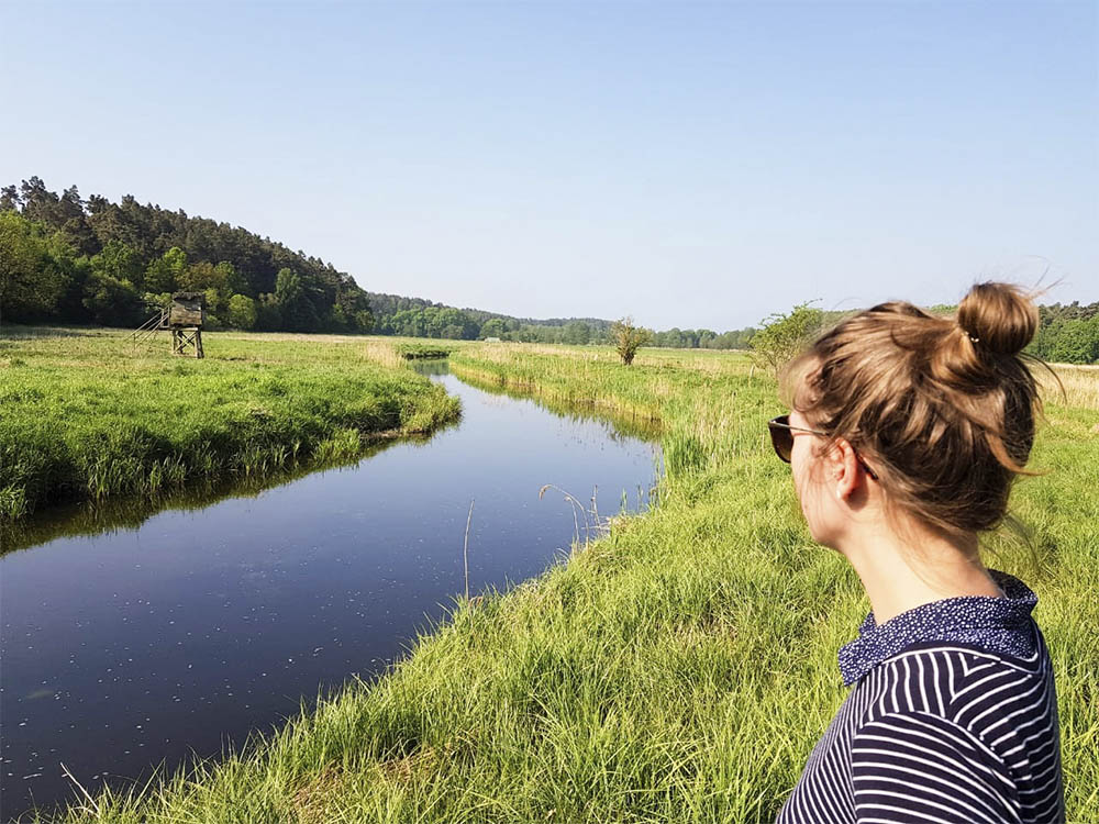 Mein Lieblingsort, um die Vielfalt der Mecklenburger Flora und Fauna zu beobachten