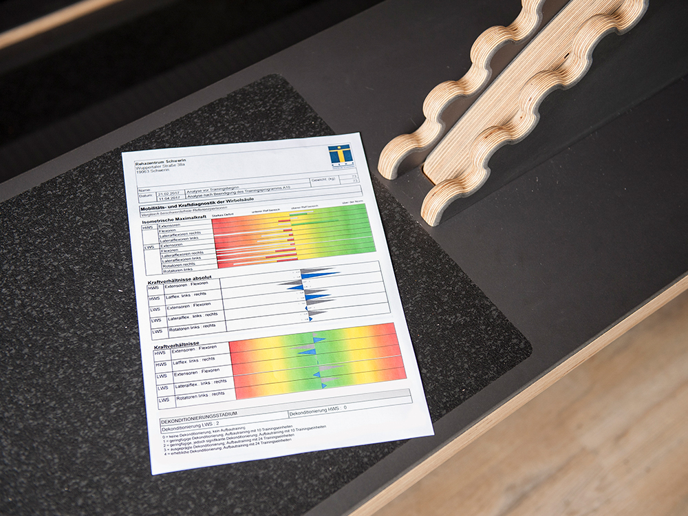 Die computergestützte Kraft-Analyse ist die Basis zur Erstellung eines individuellen Trainingsplans